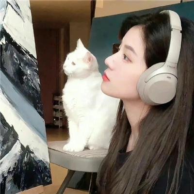升龙渴望